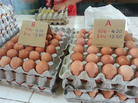 Berapa harga telur